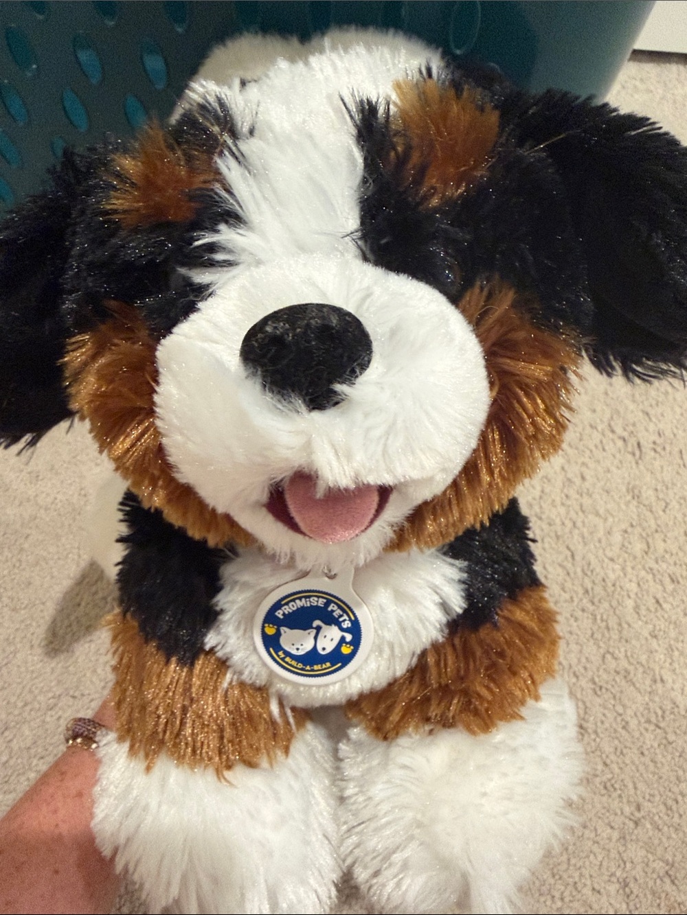 Build a bear Dogs - Picture 2 of 12